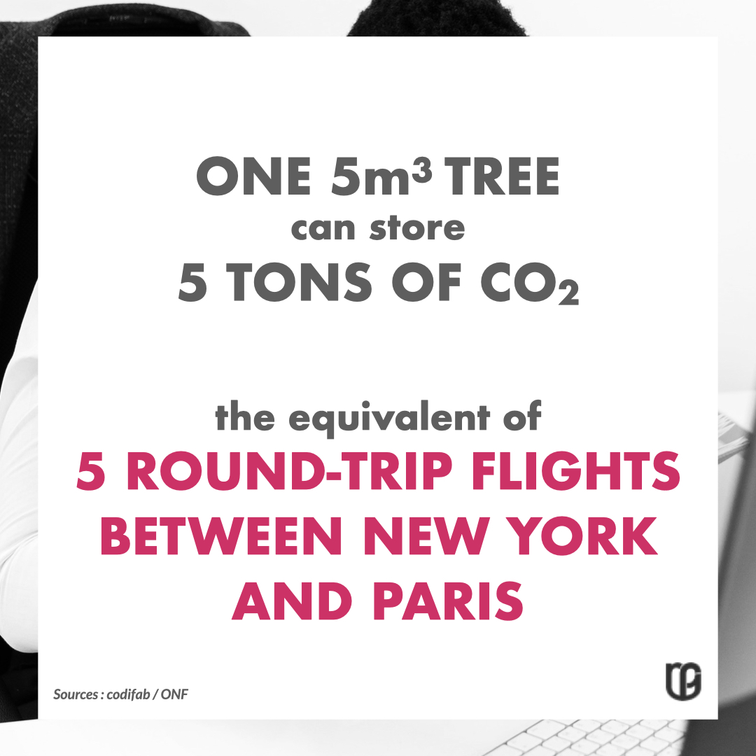 One 5m3 tree can store 5 tons of CO2. The equivalent of 5 round-trip flights between New York and Paris